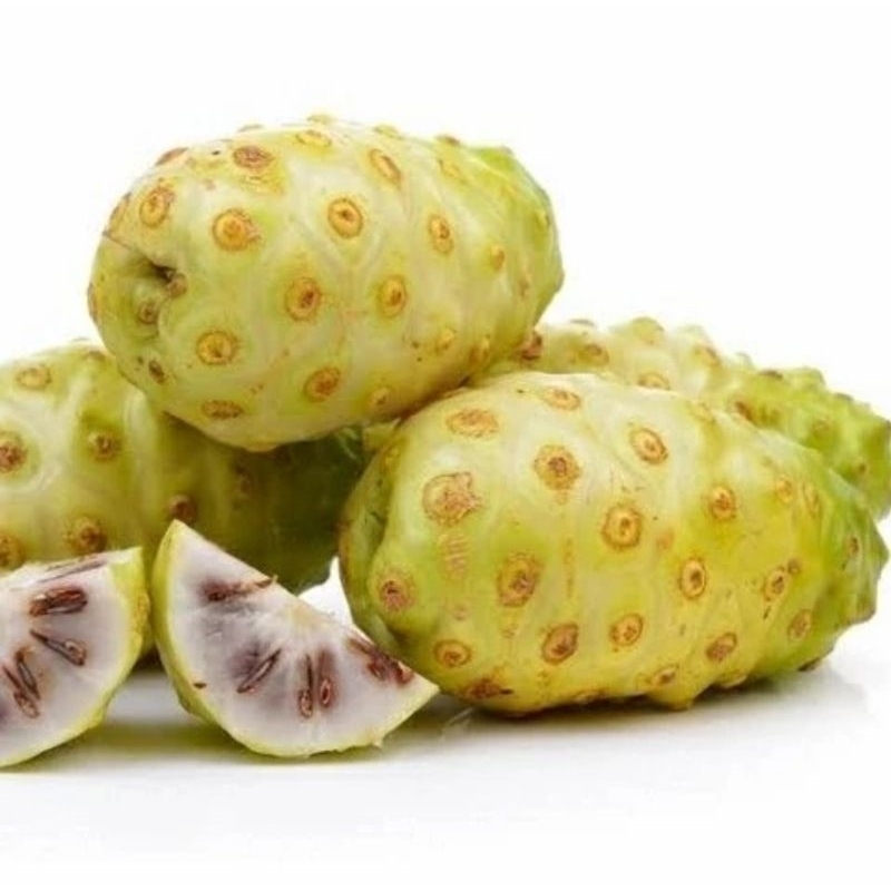 

Buah Mengkudu segar 1 kg