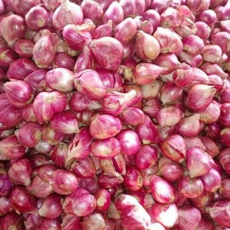 

Bawang Merah