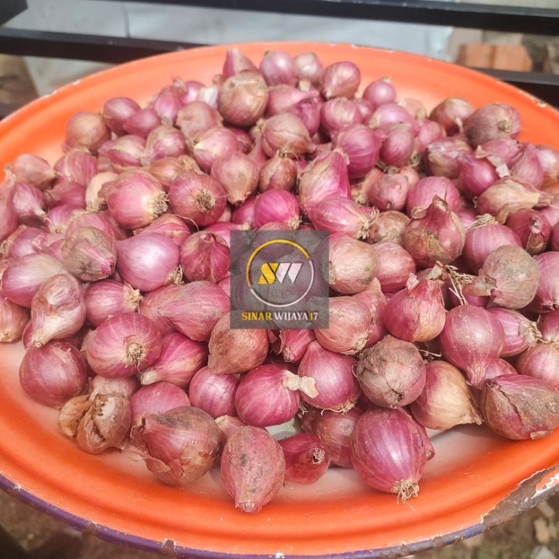 

Bawang Merah Super Asli Probolinggo Ukuran 1 Kg