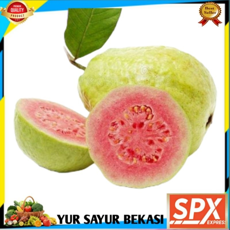 

Jambu Biji Merah 1kg