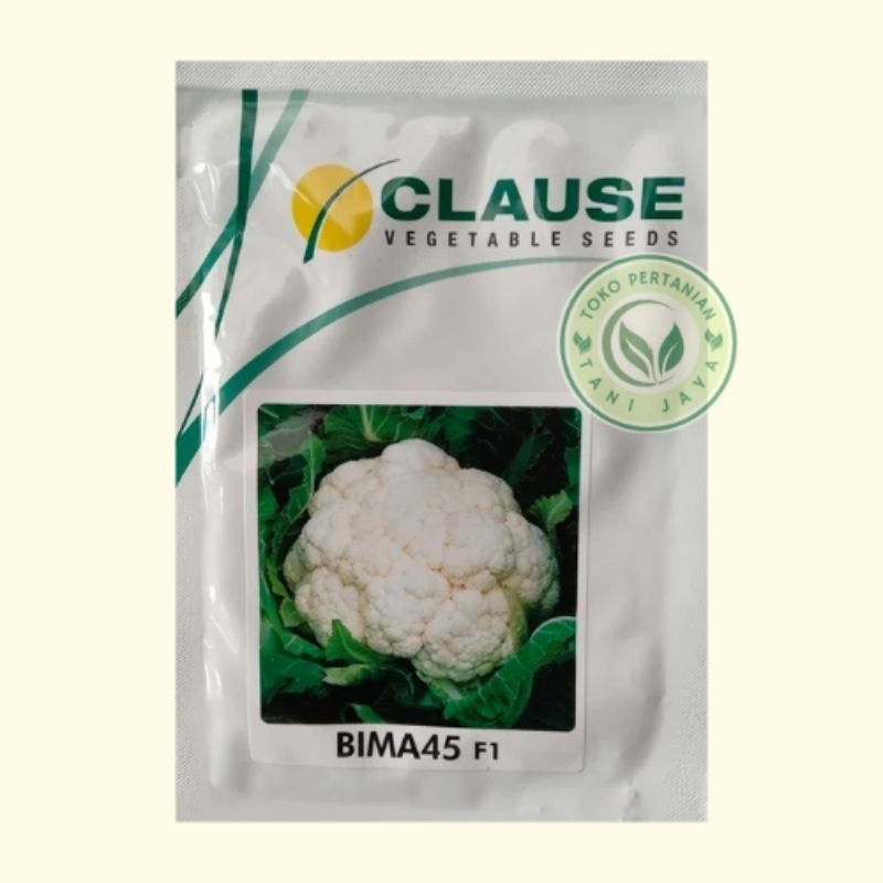 Bibit Benih Brunkul Bunga Kol BIMA 45 F1 Clause