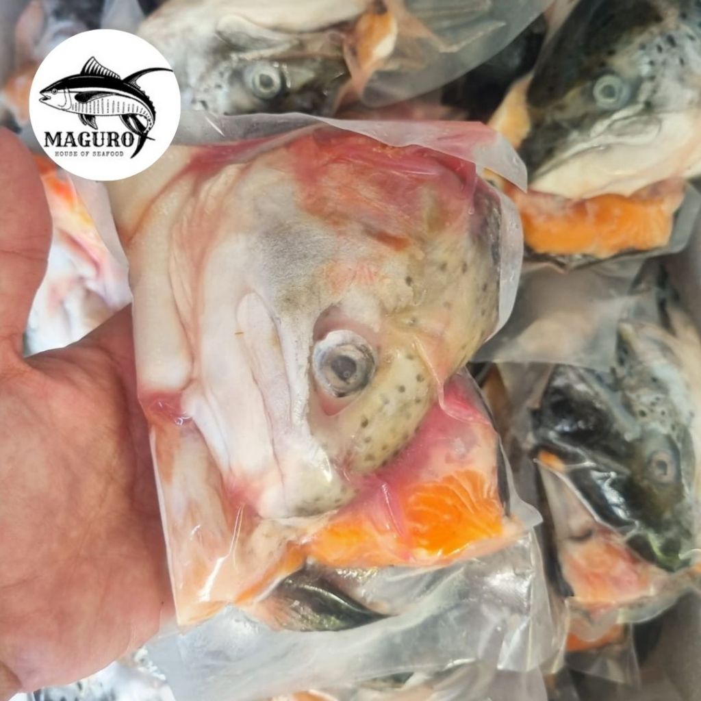

Kepala Ikan Salmon Fresh Frozen