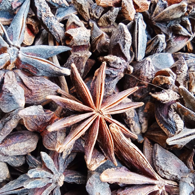 

PEKAK / BUNGA LAWANG / STAR ANISE 100 GRAM