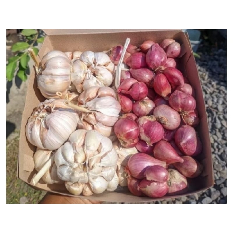 

paket hemat bawang putih 500grbawang merah 500gr