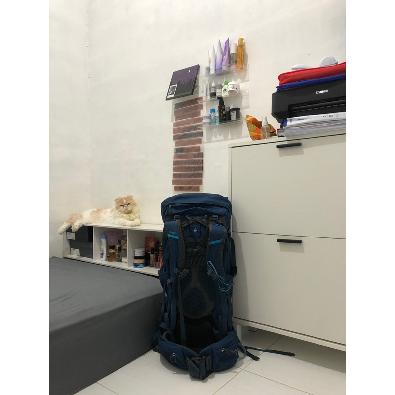 Carrier osprey 38L