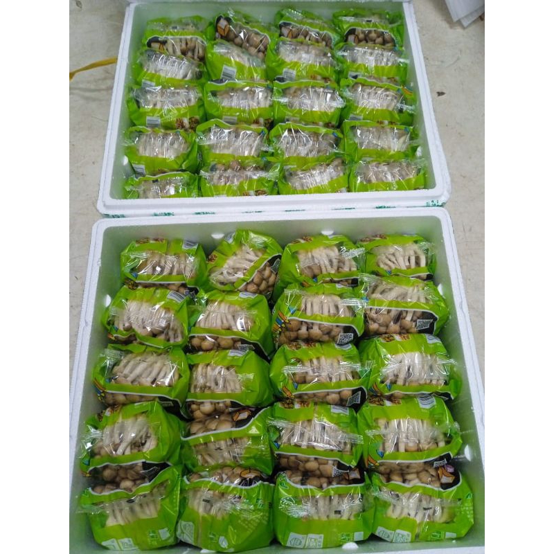 

Jamur Shimeji Coklat 100gr