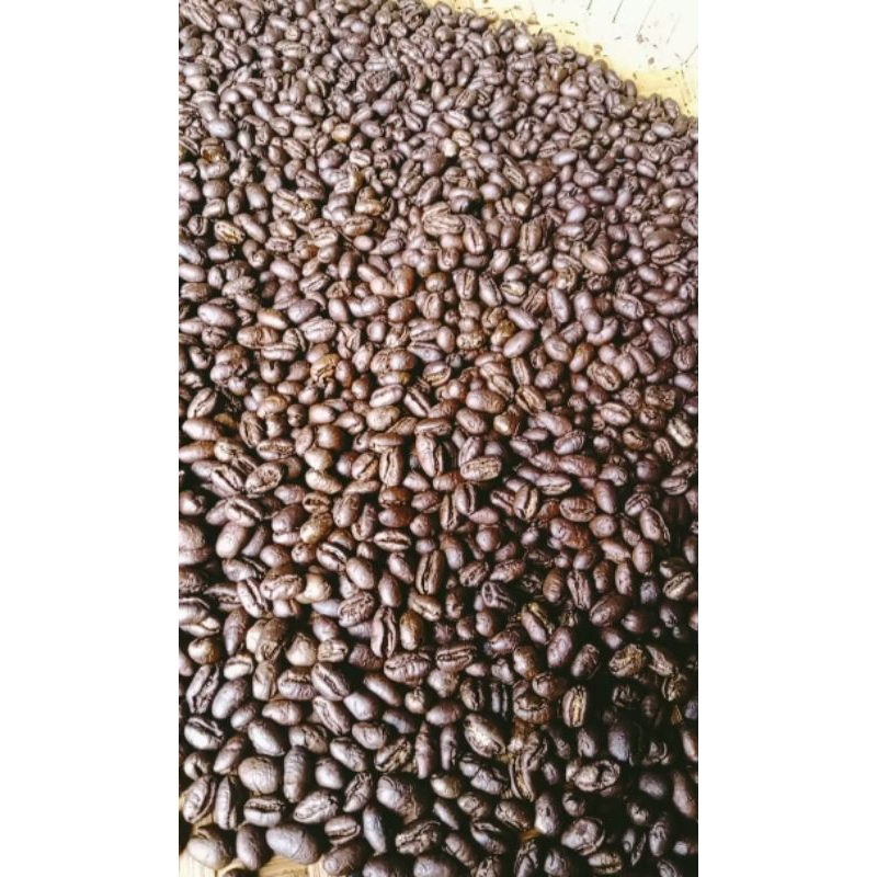 

roasted Bean kopi tunggal 800 gr. excelsa, robusta, arabika