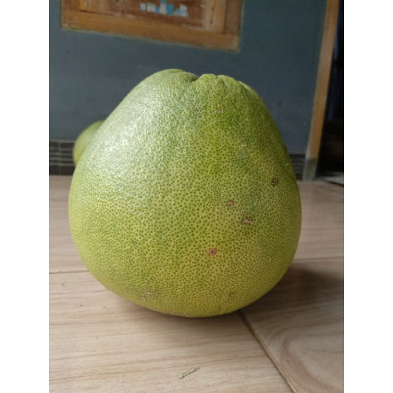 

JERUK PAMELO JUMBO 2-2,5KG MANIS SEGAR
