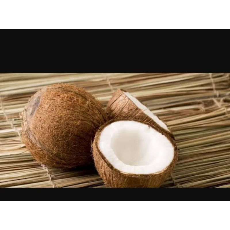 

Kelapa Super Sudah dikupas kulitnya Tinggal Dibelah