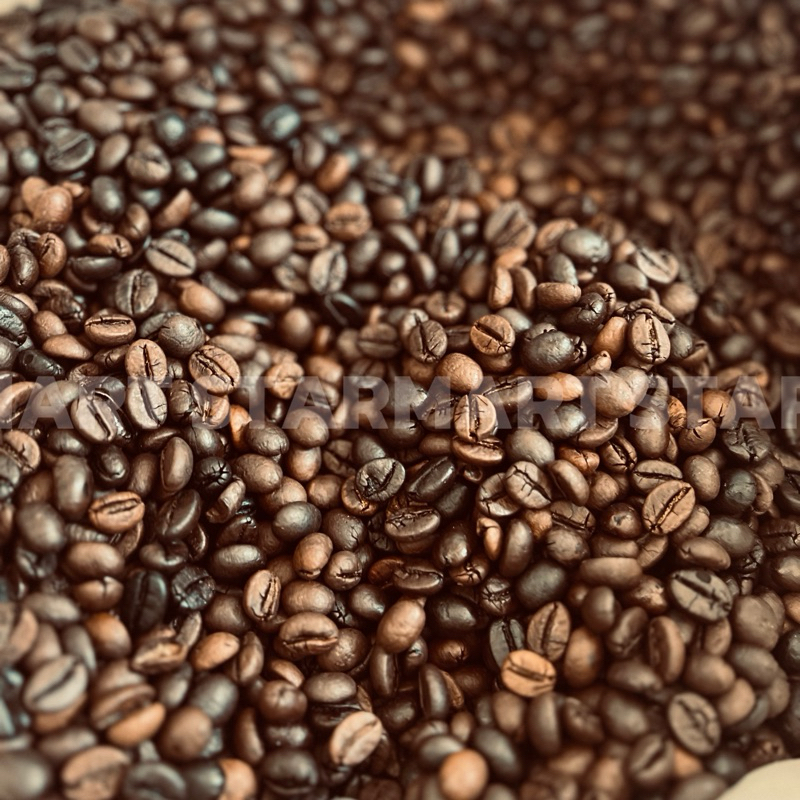 

biji kopi robusta premium per 1gram