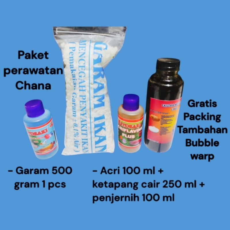 Paket perawatan ikan chana / paket perawatan ikan chana / paket perawatan chana / paket perawatan ik