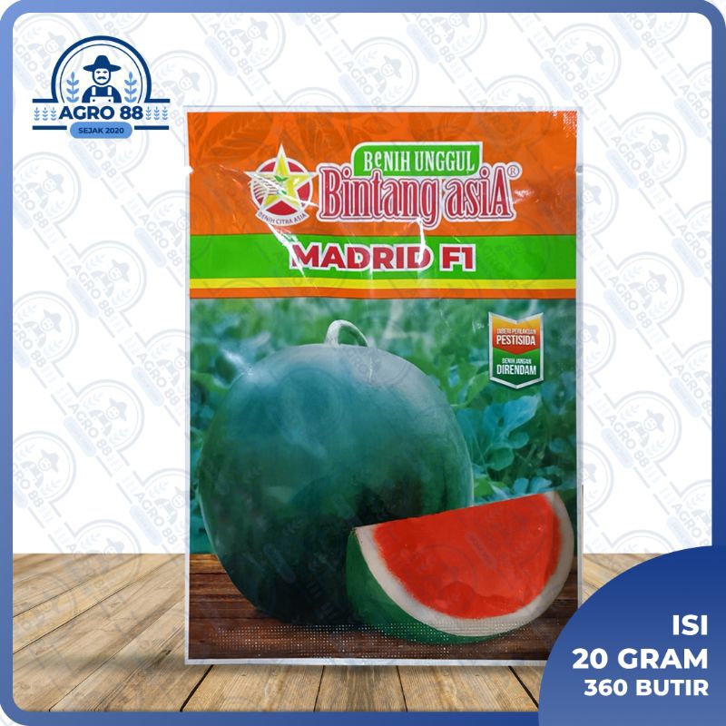 Benih semangka Madrid non biji F1