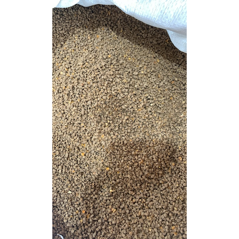 PAKAN AYAM V512 KILOAN