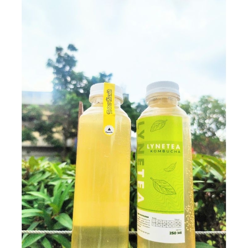 

Kombucha chamomile tea