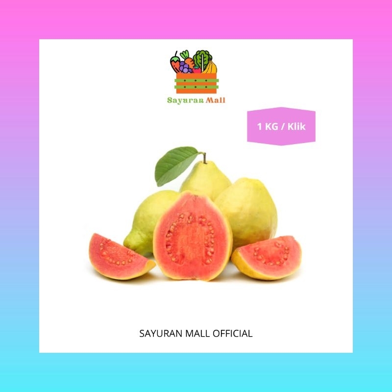 

1 KG Buah Jambu Merah / Guava Fruit | Buah Segar | SAYURANMALL