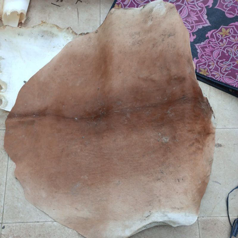 KULIT SAPI TERMURAH BUAT BEDUG DRUM UKURAN 60 /200 liter