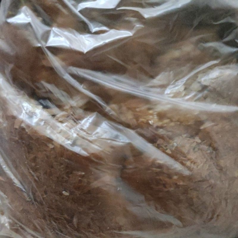 serlak india 1 ons untuk politur