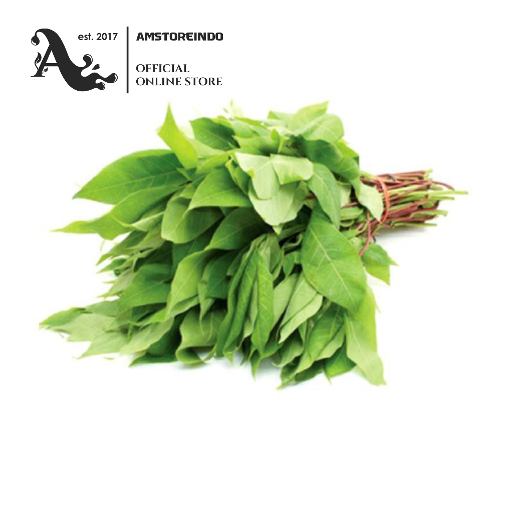 

Daun Singkong per ikat