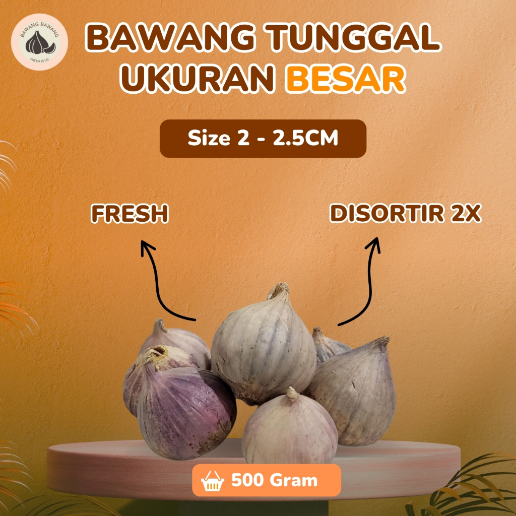 

Bawang Putih Tunggal Lanang Besar 500G