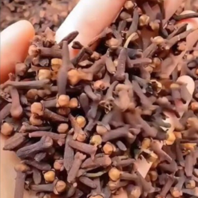 

cengkeh [200g] cengkeh super murahhh