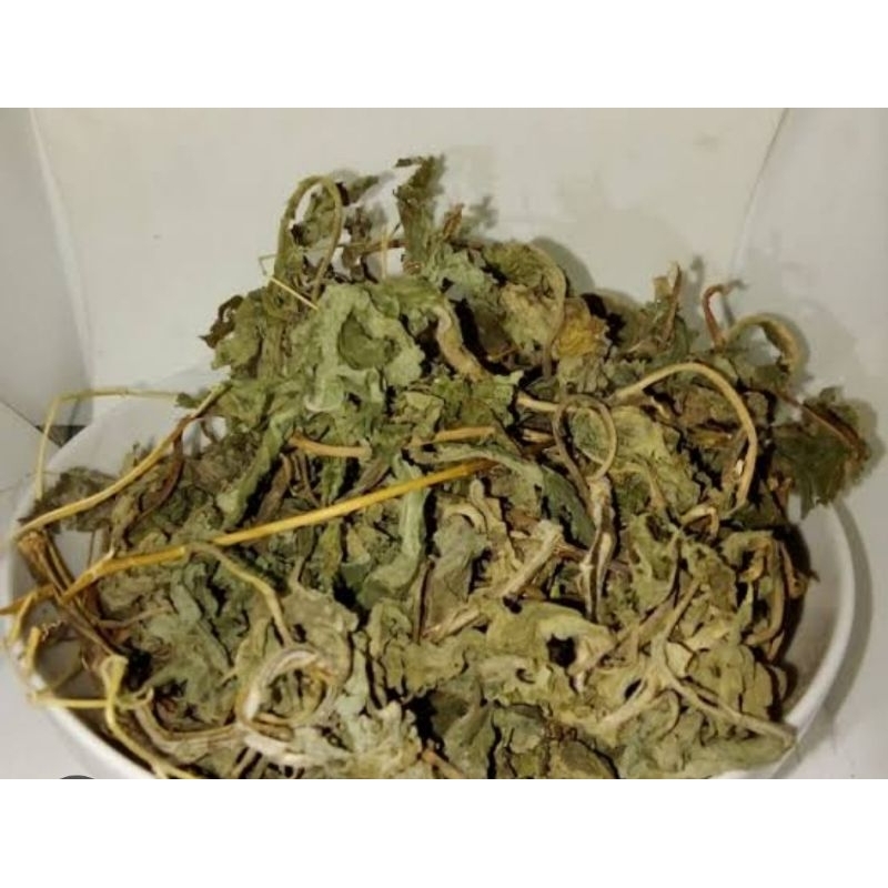 

Daun kipahit kering - daun insulin kering 1 kg organik