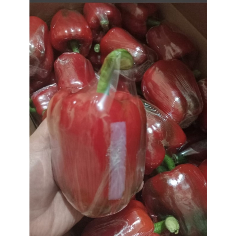 

paprika merah fresh kualitas bagus 500gram