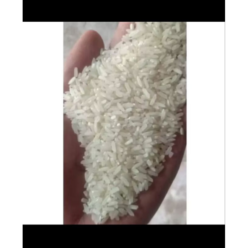 

Beras Kemasan 1kg Tanpa Lebel / Beras Konsumsi / Beras Murah / Beras Pulen / beras panen sendiri