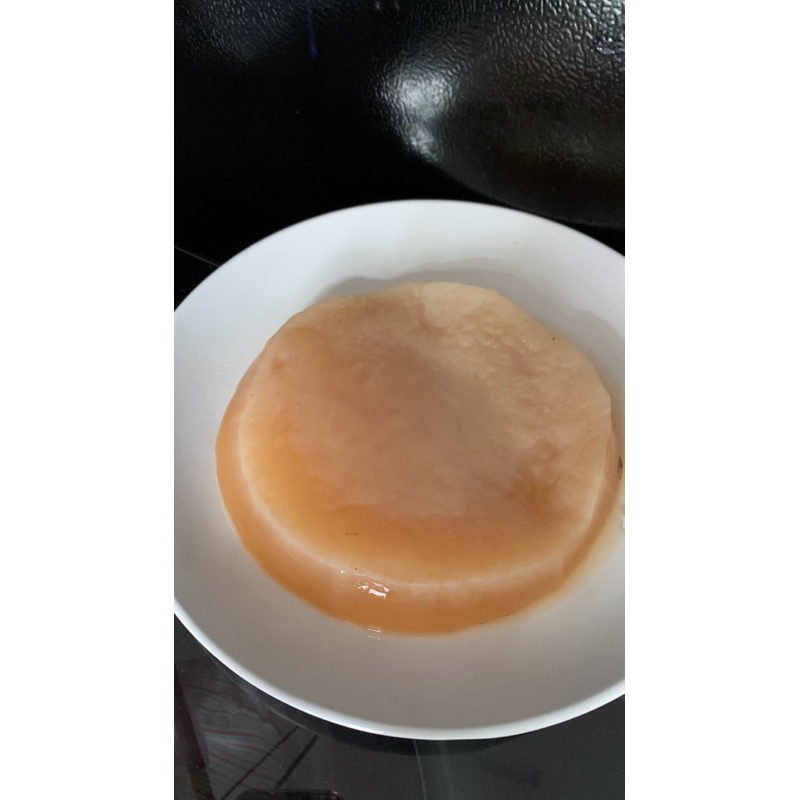 

Bibit Scoby Kombucha Diameter 15cm plus Starter