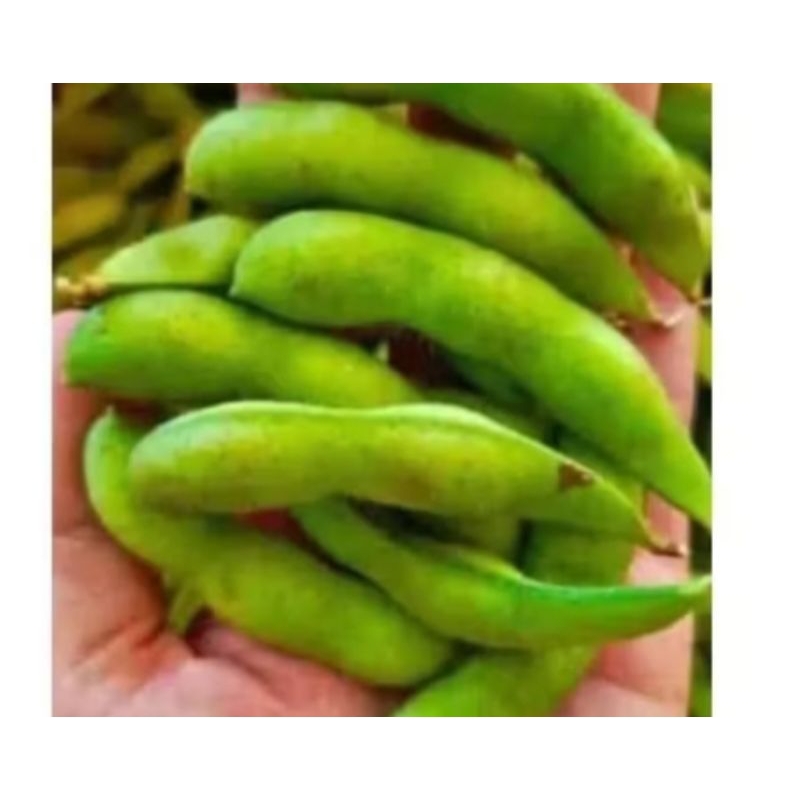 

kacang edamame 500g