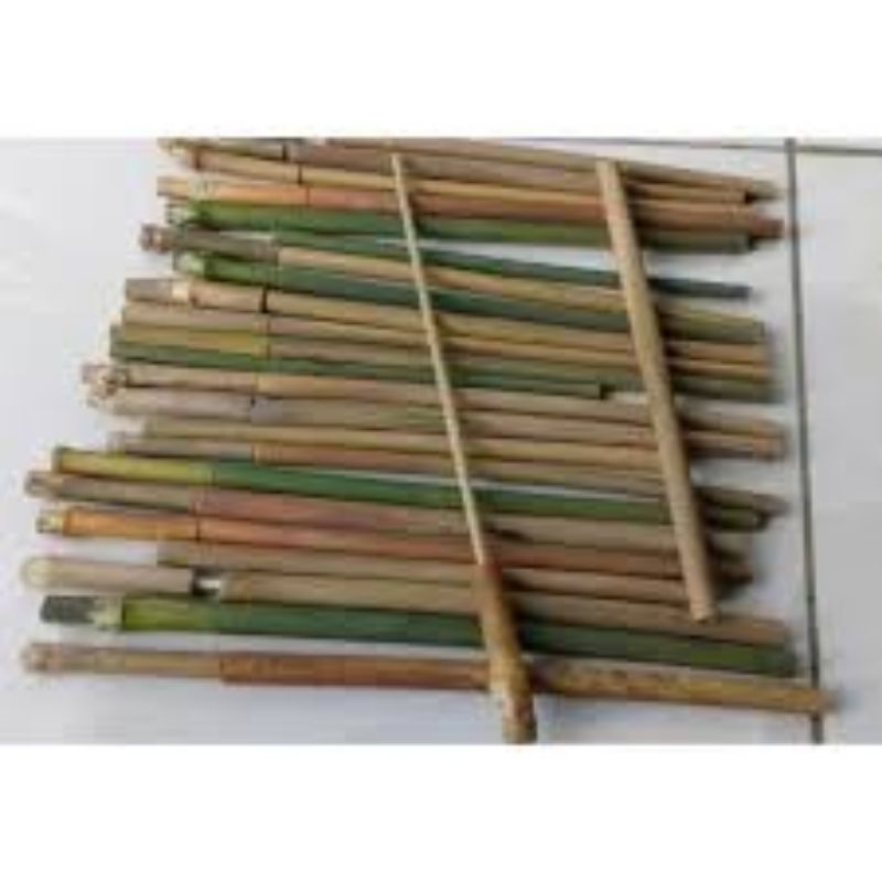 mainan peletokan atau pletokan