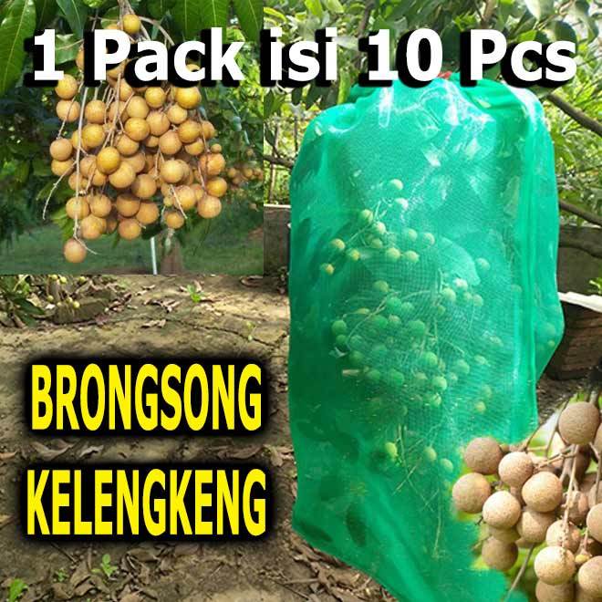 Brongsong Fruit Cover Pembungkus Buah Kelengkeng Besar 1Pack