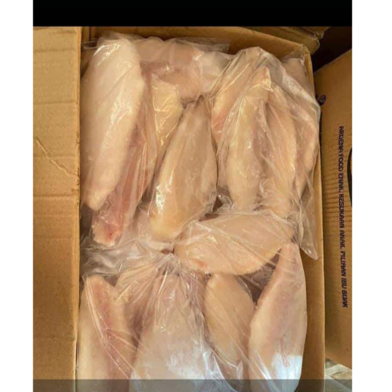 

Ikan Dory Fillet Premium Beku Frozen kemasan 1 kg