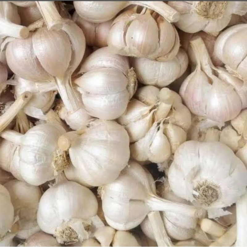 

bawang putih kating bersih 1kg