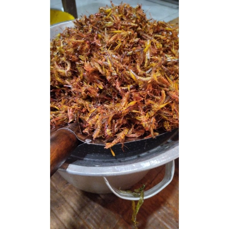 

belalang goreng utis kemasan 2kg