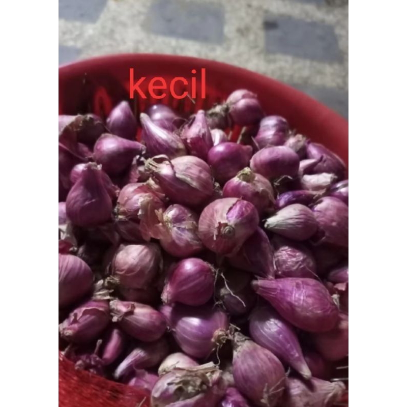 

Bawang Merah Super Murah 1 kg ukuran kecil