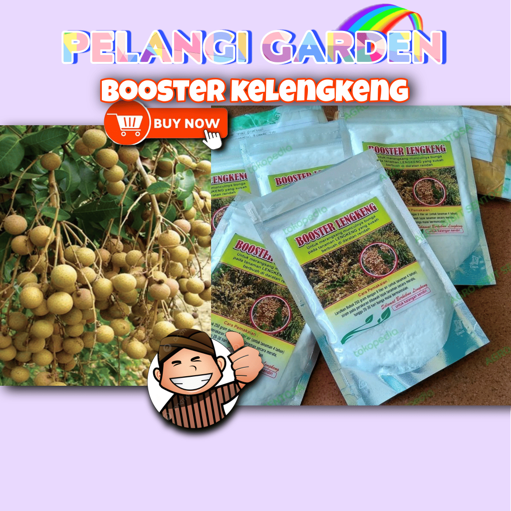 DIJAMIN ASLI  Boster Kelengkeng Puangray, Boster Kelengkeng Puangphet