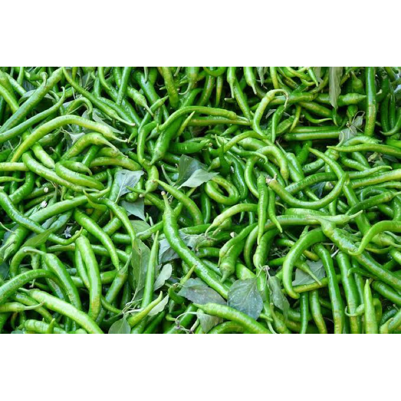 

Cabai/Cabe Hijau 100 gram