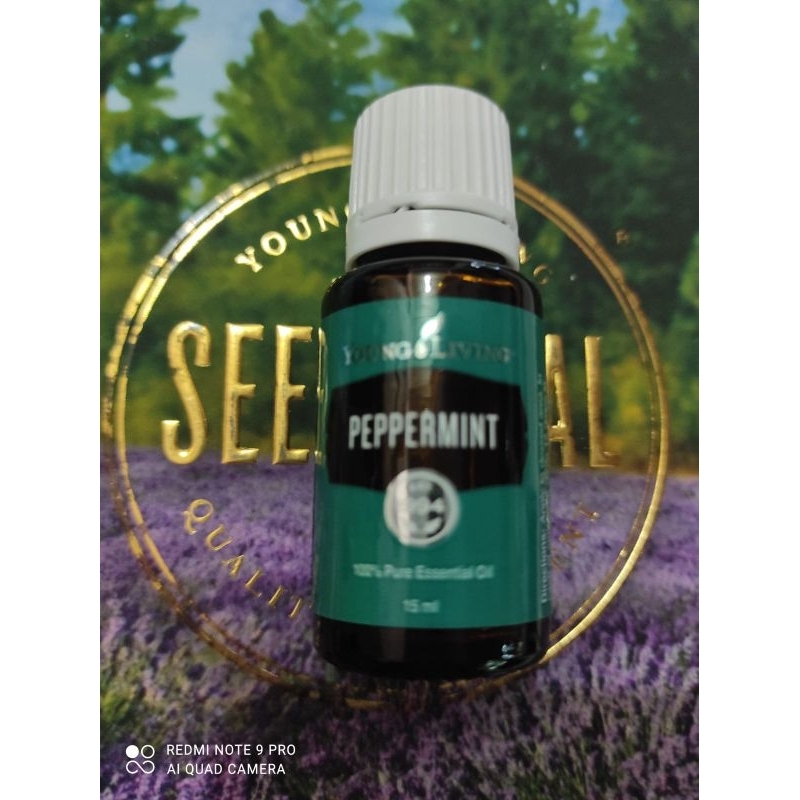 Peppermint 15ml essential oil young living
