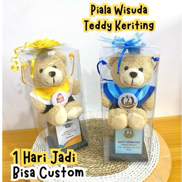 PIALA WISUDA BONEKA TEDDY KERITING PACKING KOTAK MIKA