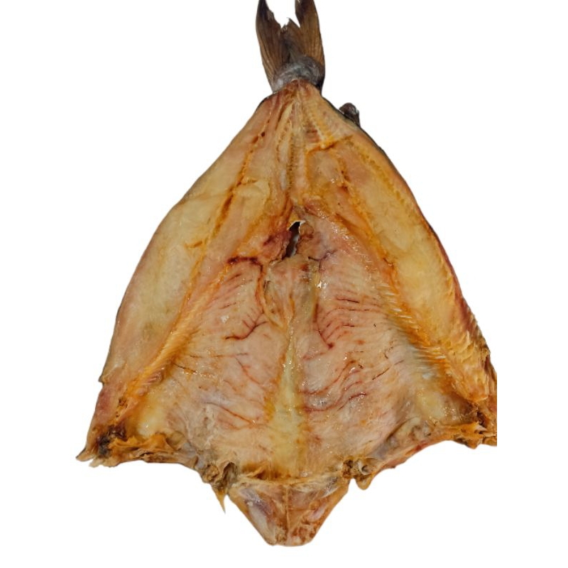 

Ikan asin jambal roti asli super pangandaran