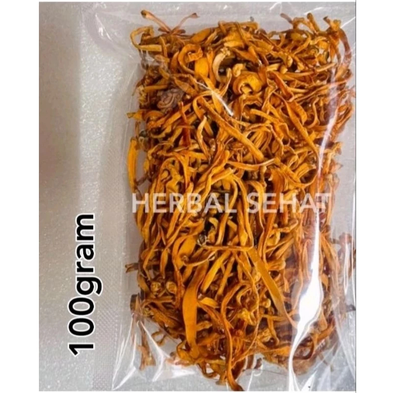 

100GRAM Bunga Cordyceps Herbal CongCaohua Chong Cao Hua Cong Cao Hua Chongcaohua 100gram Cordyceps Militaris 虫草花 untuk Kesehatan Paru Paru dan Stamina