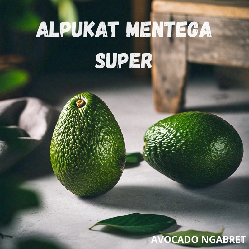 

Alpukat Mentega Super Premium Pilihan Garansi Dikirim Mentah
