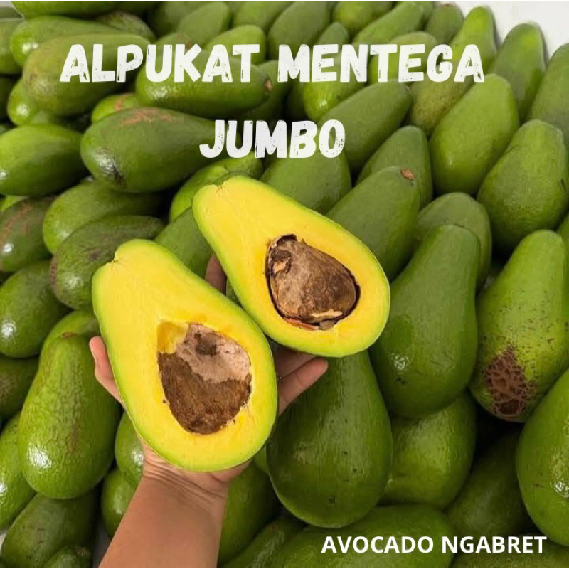 

Alpukat Mentega Jumbo Original 1 kg Isi 2-3 Buah BerGaransi