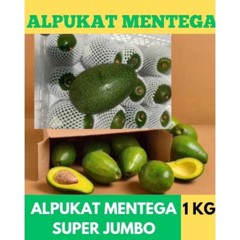 

Alpukat Mentega Super Jumbo #alpukat #alpukatmentega #alpukataligator #alpukatkendil