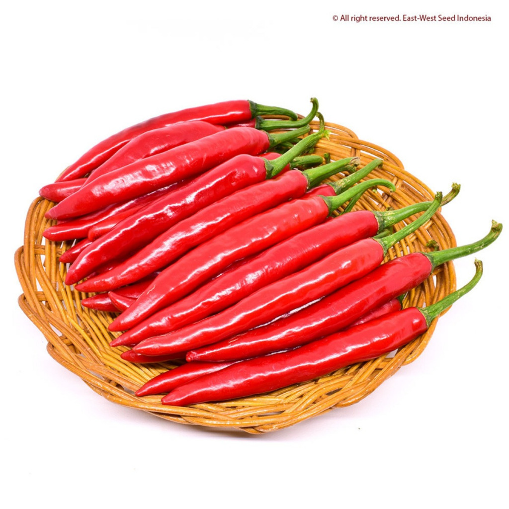 

CABE MERAH BESAR 100GR CABAI
