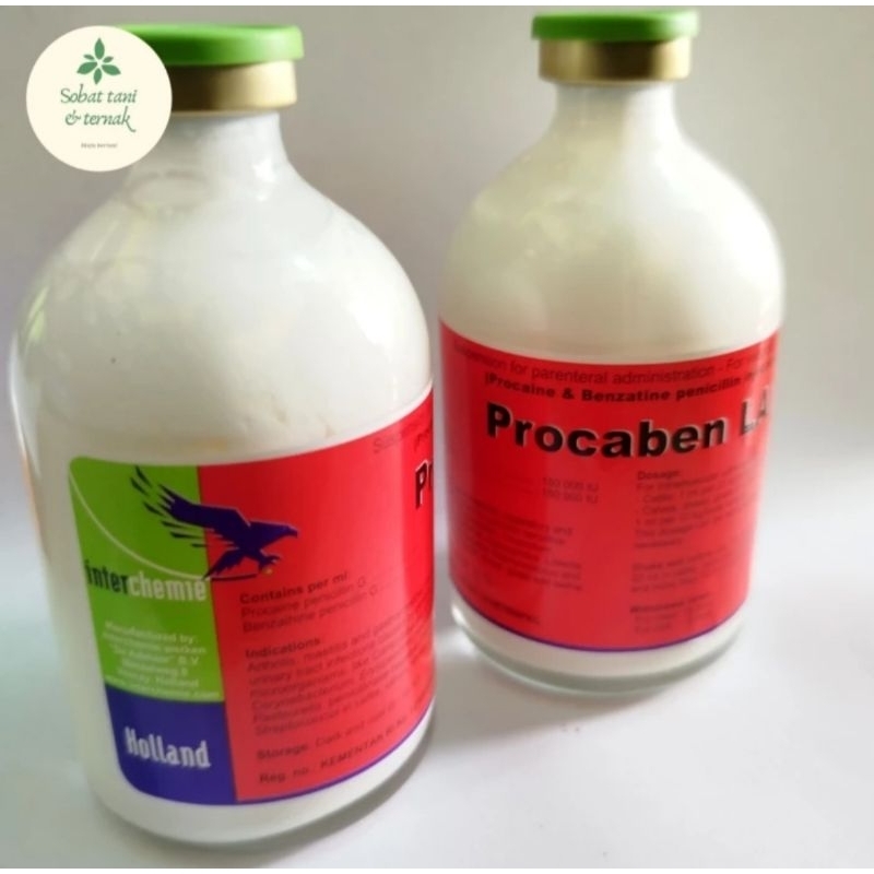 Procaben La penisilin obat hewan 2027