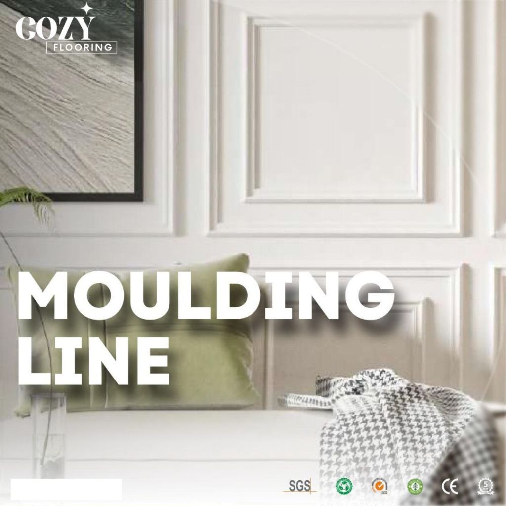 Moulding Line Laiv dinding | dekorasi wall moulding