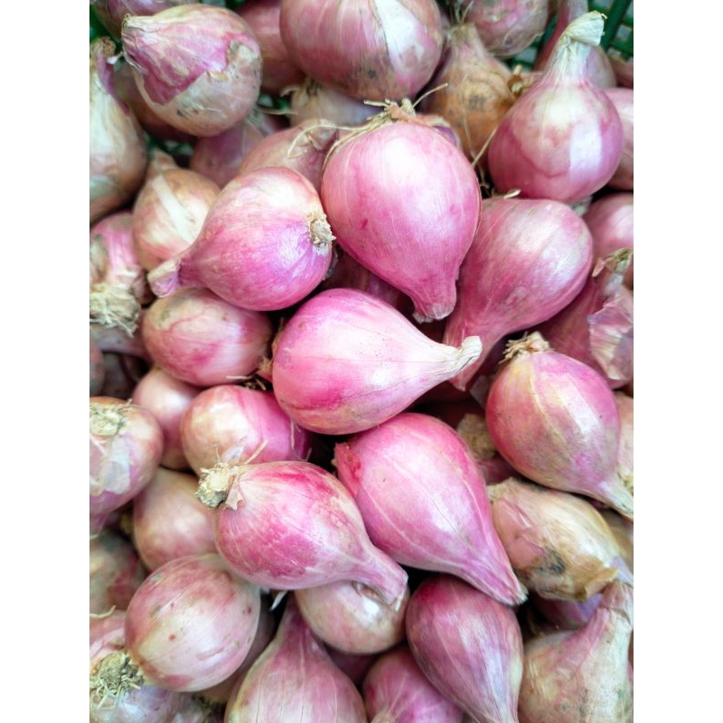 

BAWANG MERAH TANGGUNG KECIL 500g TERMURAH