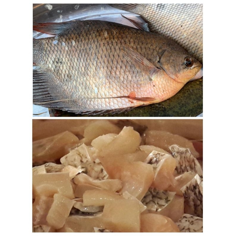 

Ikan Gurame Gurami Fillet 500 Gram