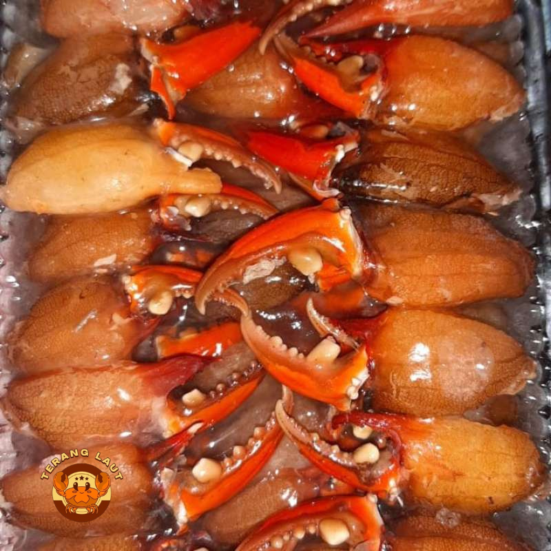 

Capit Kepiting Frozen Capit Kepiting Kupas Capit Kepiting Asli Kupas Crab Claw Cimkong 500gr